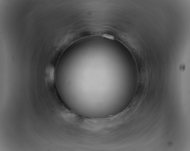 X0000101460041200807071441