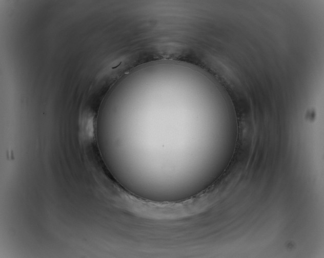 X0000101460042200807071441