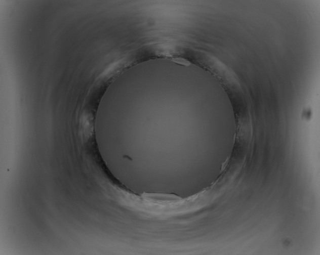 X0000101460043200807071441