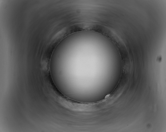 X0000101460044200807071441