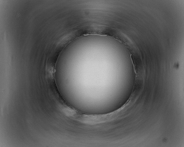 X0000101460045200807071441