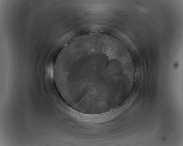 X0000101460046200807071441