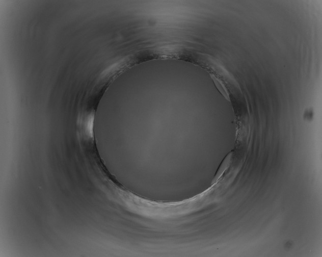 X0000101460047200807071441
