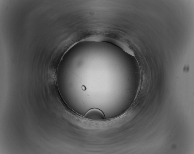 X0000101460048200807071441