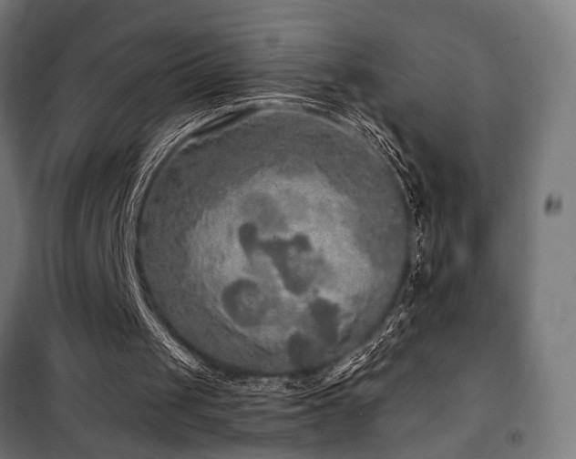 X0000101460049200807071440