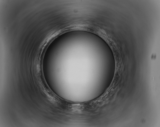 X0000101460050200807071440