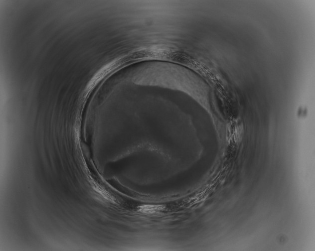 X0000101460051200807071440