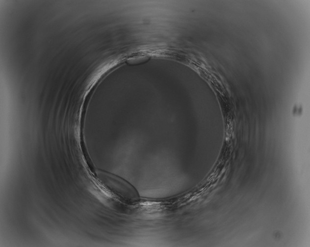 X0000101460052200807071440