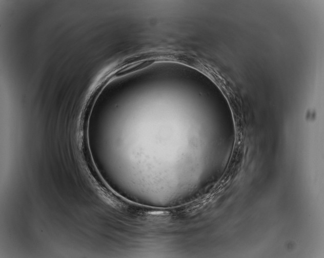 X0000101460053200807071440