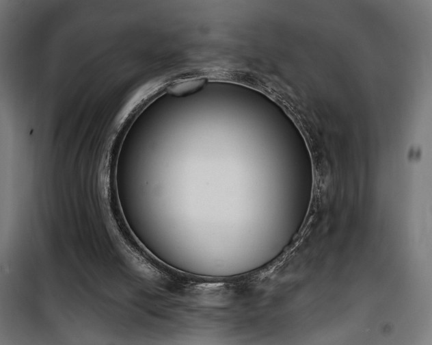 X0000101460054200807071440