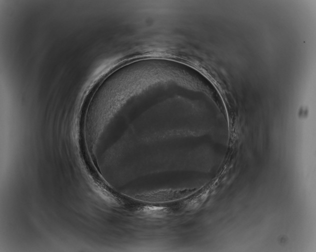 X0000101460055200807071440