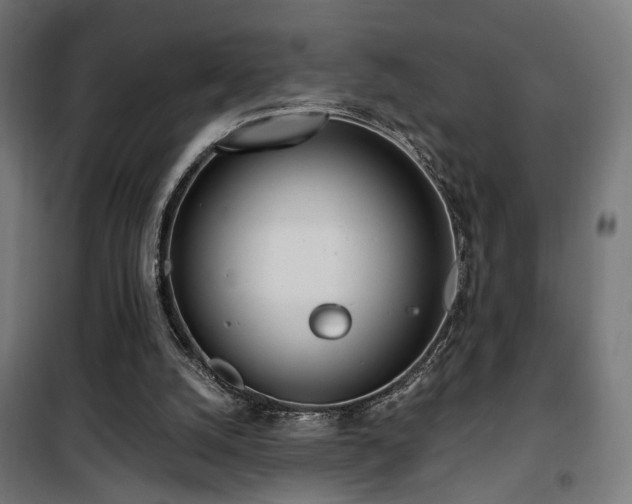 X0000101460056200807071440
