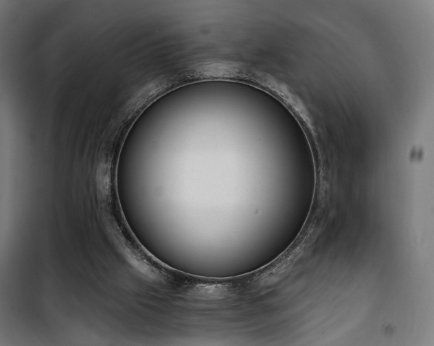 X0000101460057200807071440