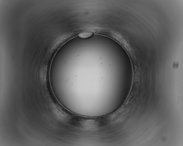 X0000101460058200807071440