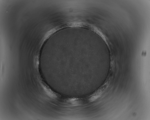 X0000101460059200807071440
