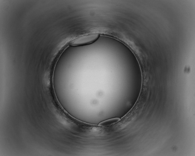 X0000101460060200807071440