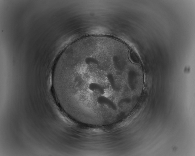X0000101460061200807071440