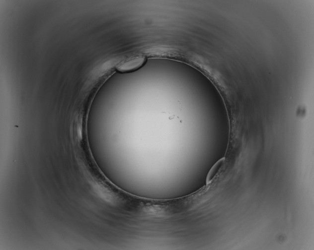X0000101460062200807071440