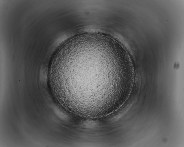 X0000101460063200807071440