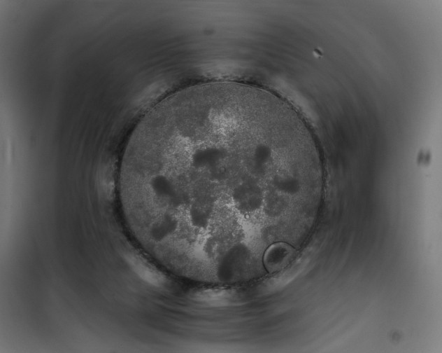 X0000101460065200807071440
