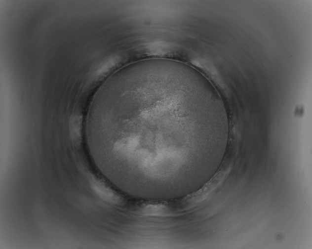 X0000101460066200807071440