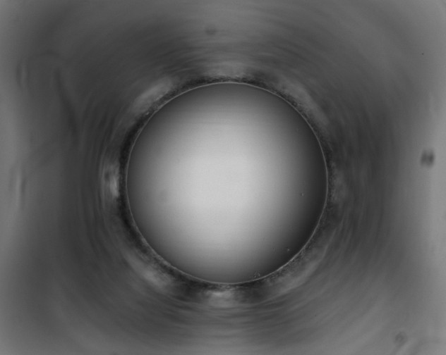 X0000101460068200807071440