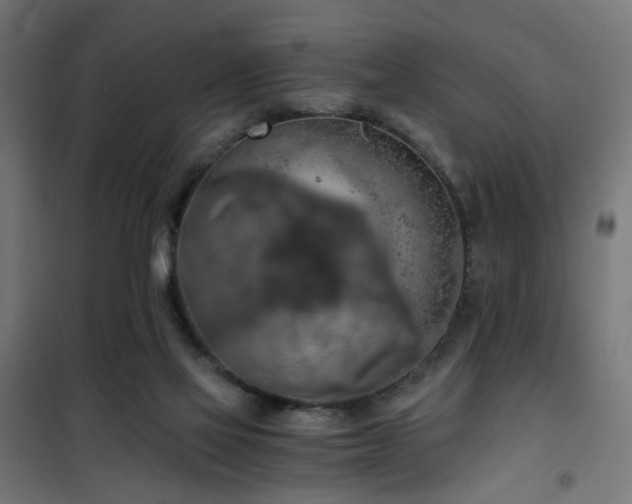 X0000101460069200807071440