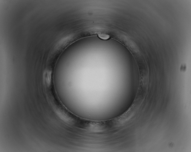 X0000101460070200807071440