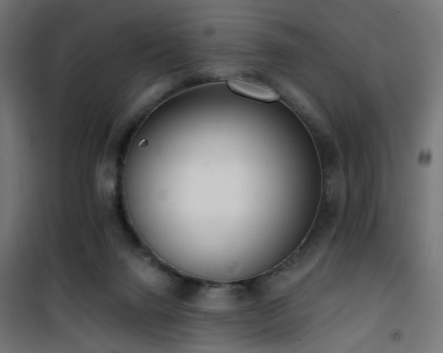 X0000101460072200807071441