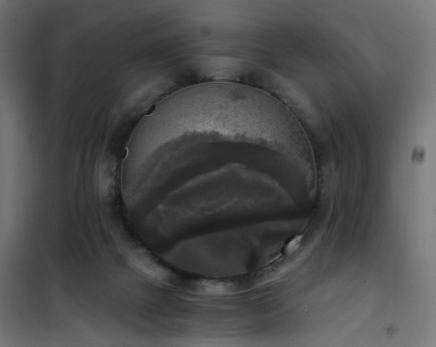 X0000101460073200807071441