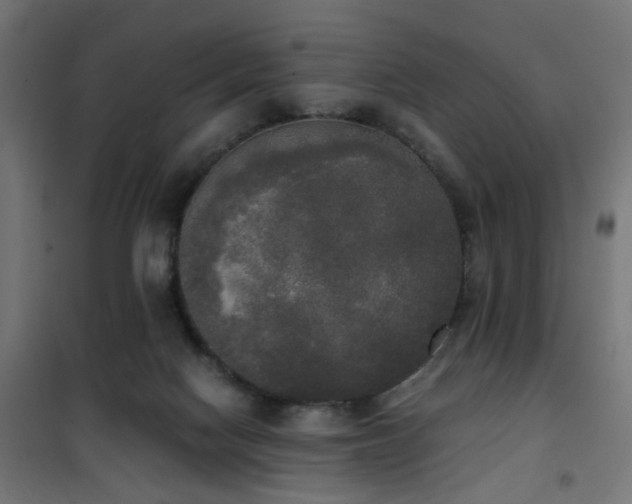 X0000101460074200807071441