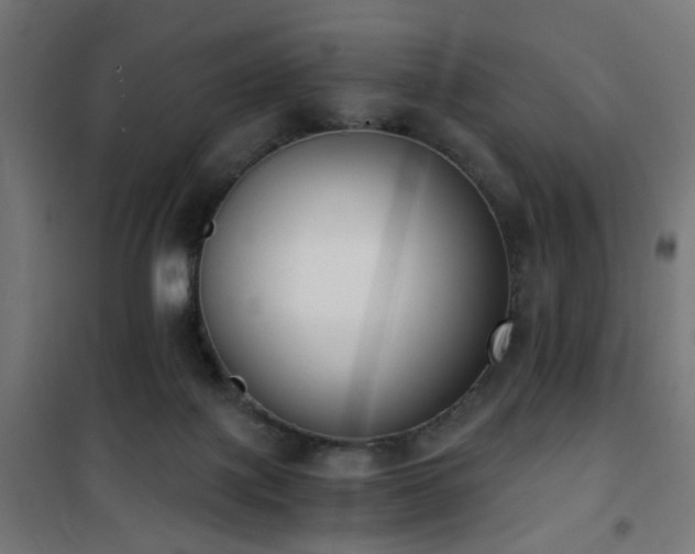 X0000101460075200807071441
