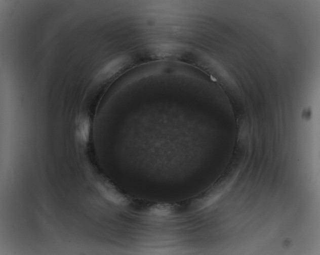 X0000101460076200807071441