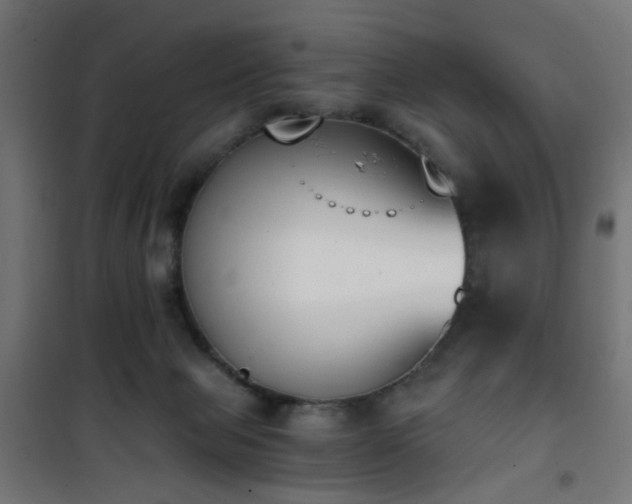 X0000101460077200807071441