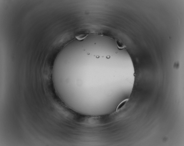 X0000101460078200807071441