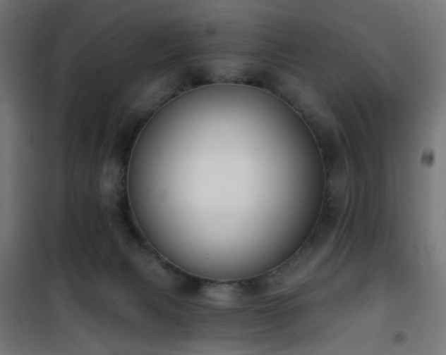 X0000101460079200807071441
