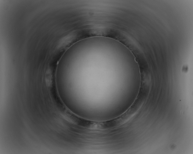 X0000101460080200807071441