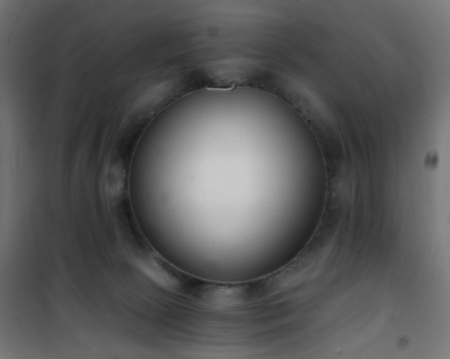X0000101460081200807071441