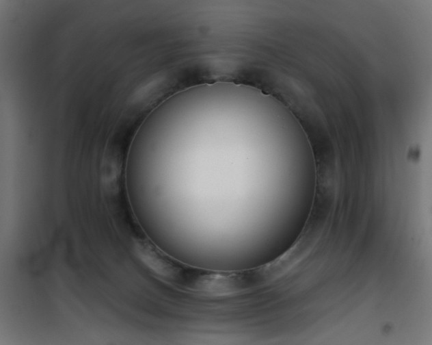 X0000101460082200807071441