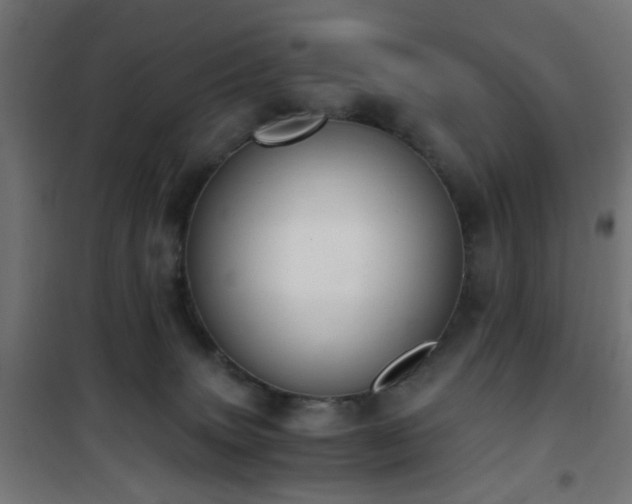 X0000101460083200807071441