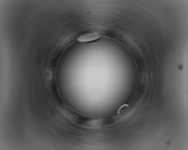 X0000101460084200807071441