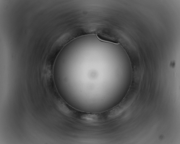 X0000101460085200807071441