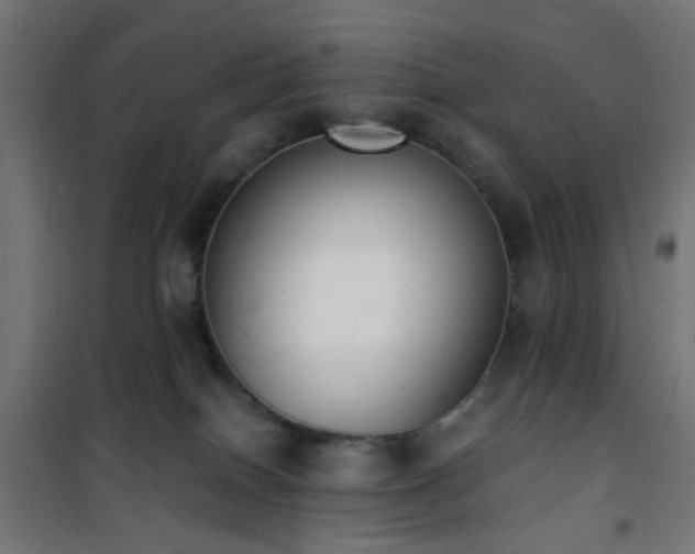 X0000101460086200807071441