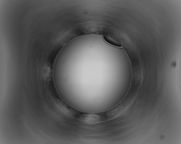 X0000101460087200807071441
