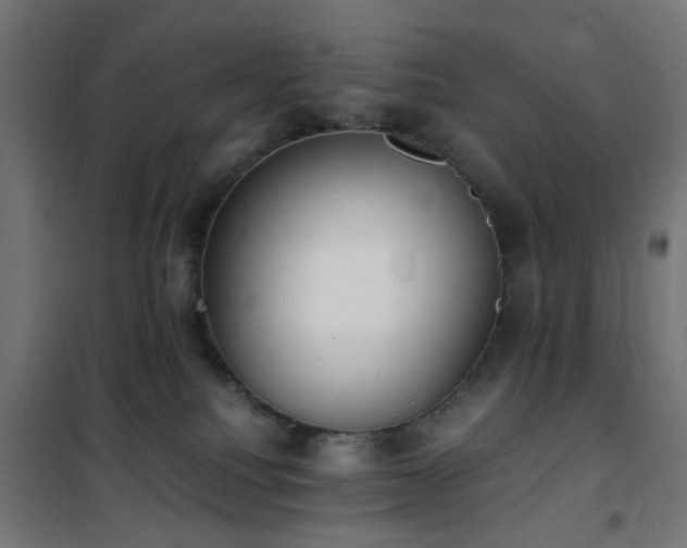 X0000101460088200807071441