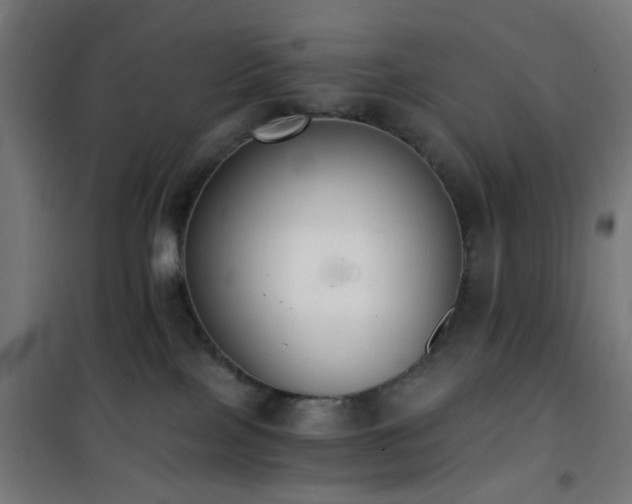X0000101460089200807071441