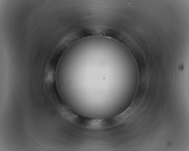 X0000101460090200807071441