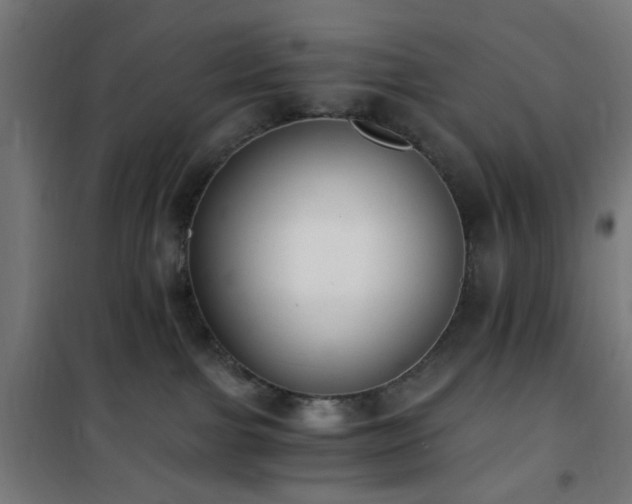 X0000101460091200807071441