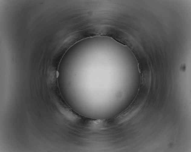 X0000101460092200807071441