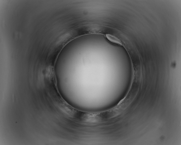 X0000101460093200807071441